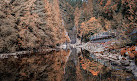 Capilano River Hatchery