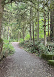 Capilano River Hatchery