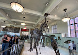 American Museum of Natural History