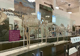 American Museum of Natural History