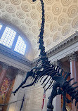 American Museum of Natural History