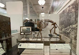 American Museum of Natural History