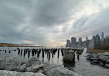 New York City Elevated View Point