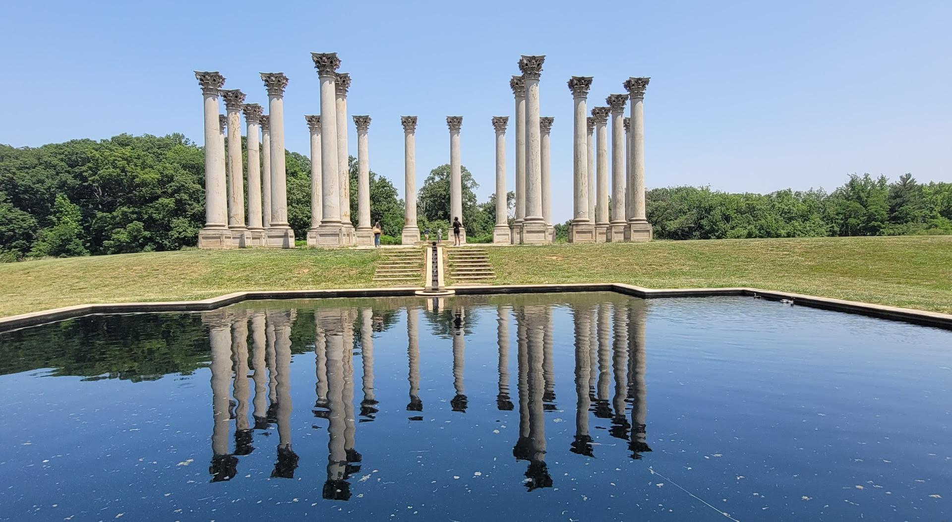 Arboreto nazionale degli Stati Uniti