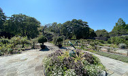 Arboreto nazionale degli Stati Uniti