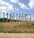 Arboreto nazionale degli Stati Uniti