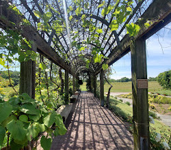 Arboreto nazionale degli Stati Uniti