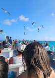 Dolphin Discovery Isla Mujeres