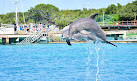 Dolphin Discovery Isla Mujeres