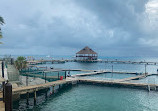 Dolphin Discovery Isla Mujeres