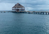 Dolphin Discovery Isla Mujeres