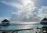 Dolphin Discovery Isla Mujeres