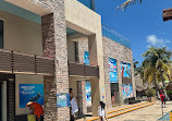 Dolphin Discovery Isla Mujeres