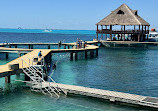 Dolphin Discovery Isla Mujeres