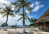 Dolphin Discovery Isla Mujeres