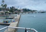 Dolphin Discovery Isla Mujeres