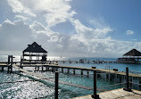 Dolphin Discovery Isla Mujeres