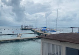 Dolphin Discovery Isla Mujeres