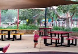 Ivey Watson Playground