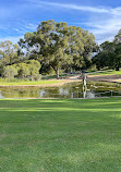 Kings Park and Botanic Garden