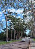 Kings Park and Botanic Garden