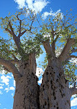 Kings Park and Botanic Garden