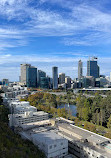 Kings Park and Botanic Garden