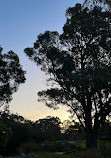 Kings Park and Botanic Garden