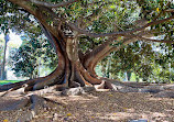 Kings Park and Botanic Garden