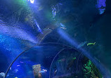 SEA LIFE Nagoya