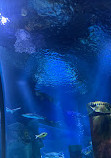 SEA LIFE Nagoya