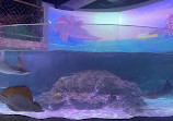 SEA LIFE Nagoya