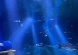 SEA LIFE Nagoya