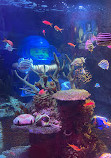 SEA LIFE Nagoya