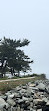 Goat Island Lighthouse