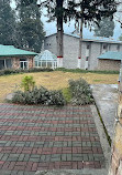 Forest Rest House Jhika Gali Murree