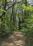 Clifton Park Town Center Park