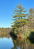 Hickory Run Lake