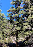 Sierra Alta Nature trailhead