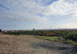 Drachenberg Viewpoint