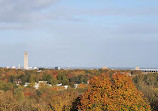 Drachenberg Viewpoint