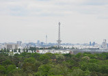 Drachenberg Viewpoint