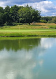 Pyrford Lakes