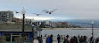 Redondo Beach Pier