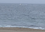 Redondo Beach Pier