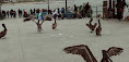 Redondo Beach Pier