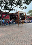 Fort Worth Herd