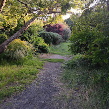 Crow Canyon Gardens