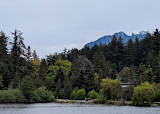 English Bay Bike Rentals