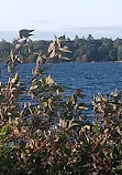 Shoal Island Lighthouse